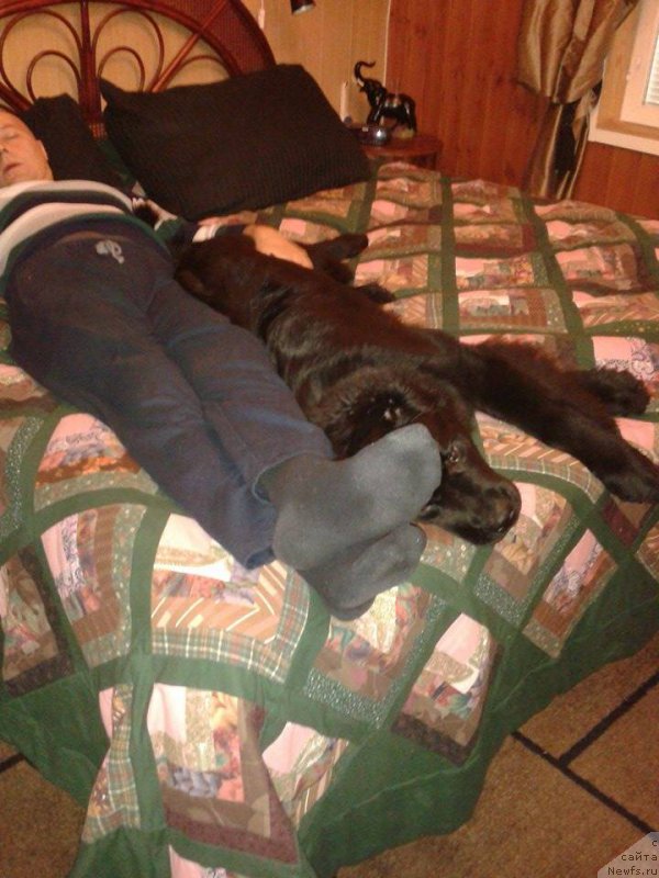 Фотография № 193837