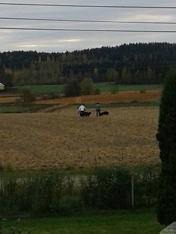 Фотография № 193838