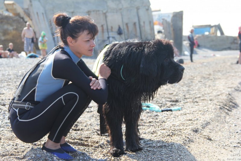 Фотография № 193850