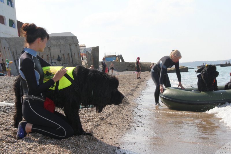 Фотография № 193851