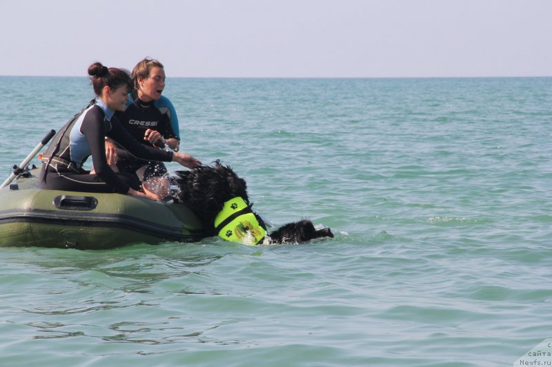 Фотография № 193853