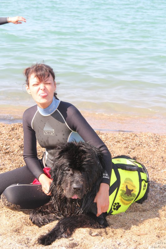 Фотография № 193854