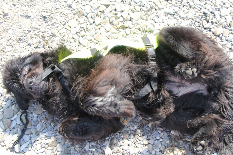 Фотография № 193857