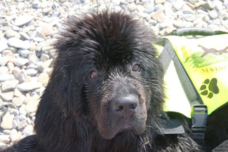 Фотография № 193859