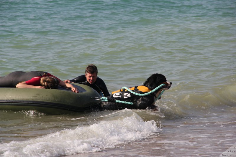 Фотография № 193862