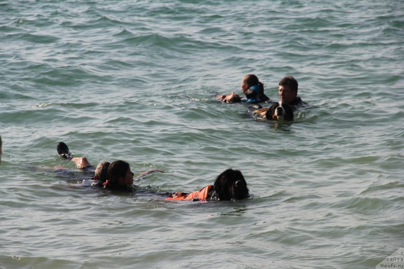 Фотография № 193865