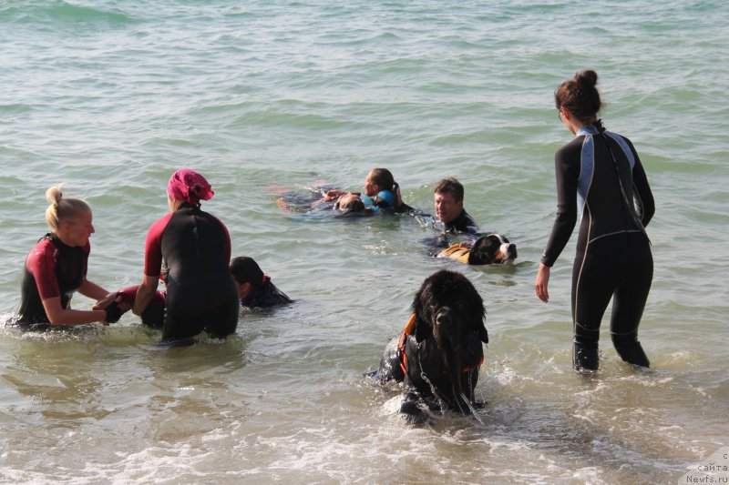 Фотография № 193866