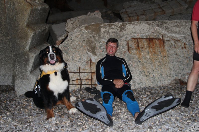 Фотография № 193869