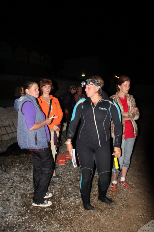 Фотография № 193873