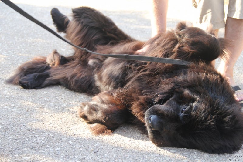 Фотография № 193877