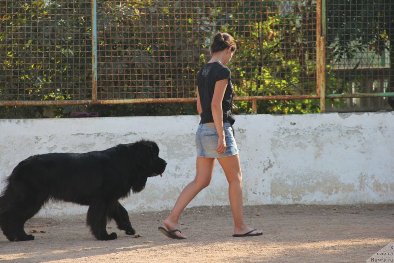 Фотография № 193879