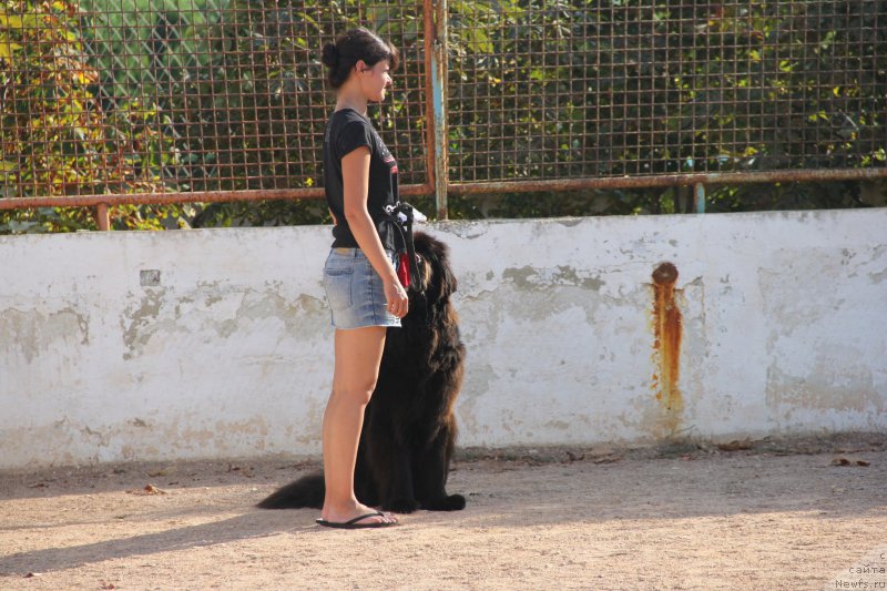 Фотография № 193880