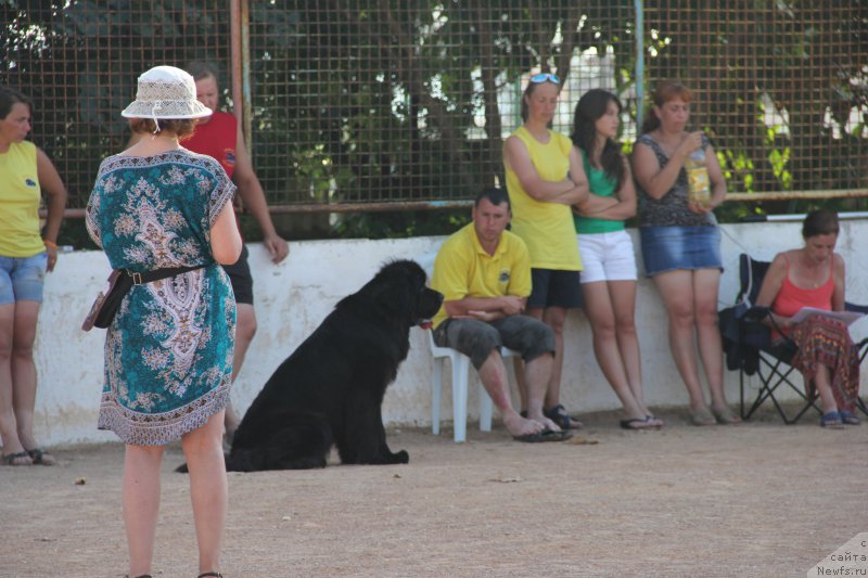 Фотография № 193881