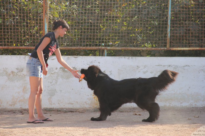 Фотография № 193883