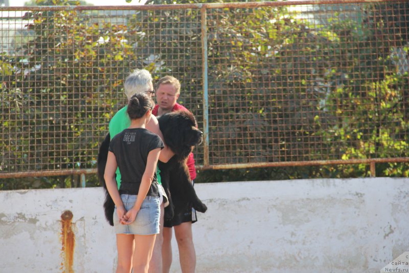 Фотография № 193884