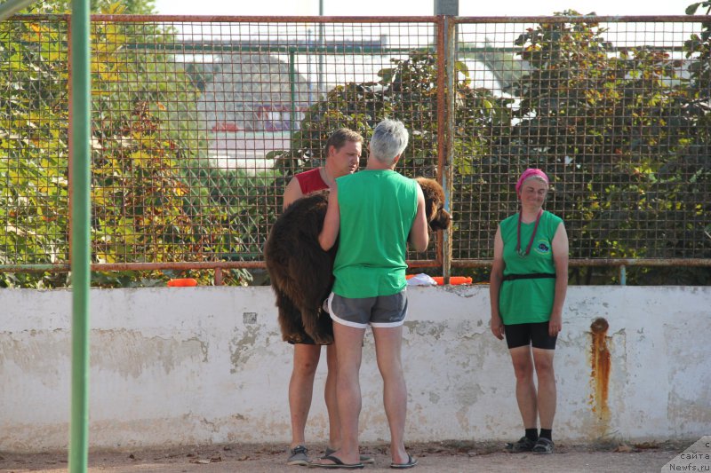 Фотография № 193888