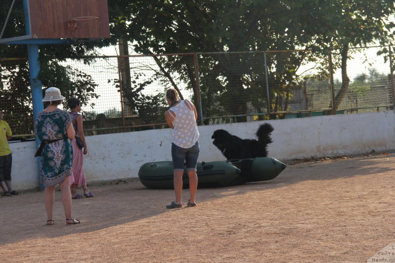 Фотография № 193890