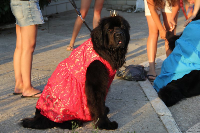 Фотография № 193891