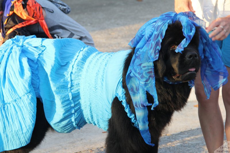 Фотография № 193892