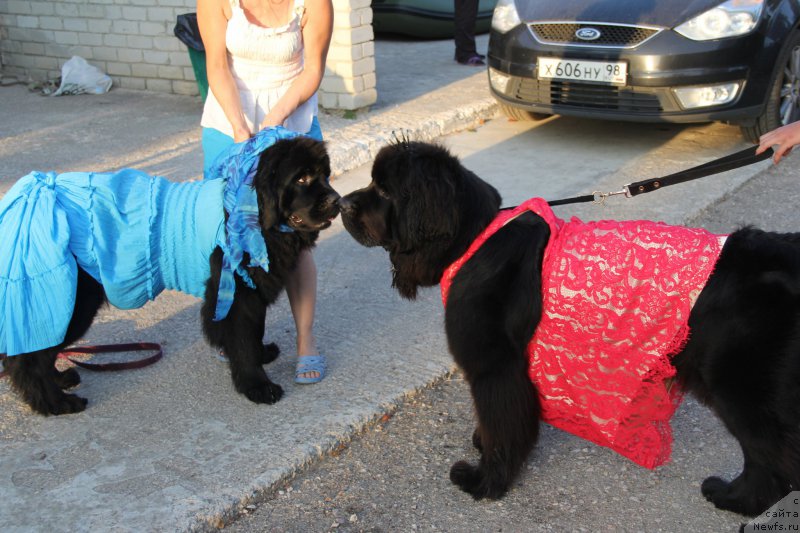 Фотография № 193893