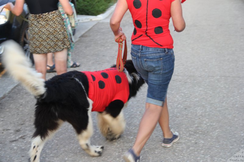 Фотография № 193896