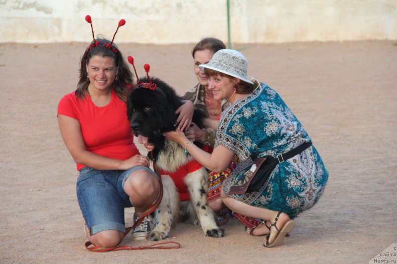 Фотография № 193898