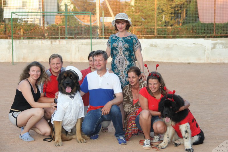 Фотография № 193899