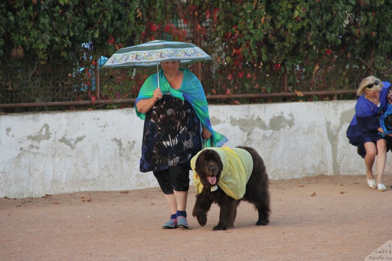 Фотография № 193900