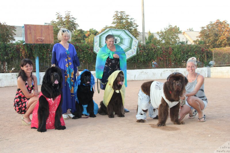 Фотография № 193901