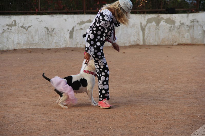 Фотография № 193902