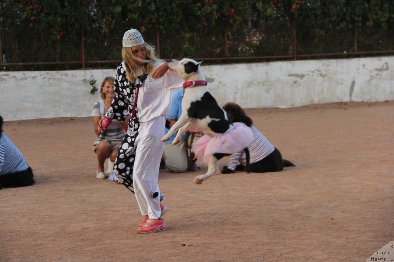 Фотография № 193903