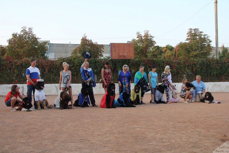 Фотография № 193906