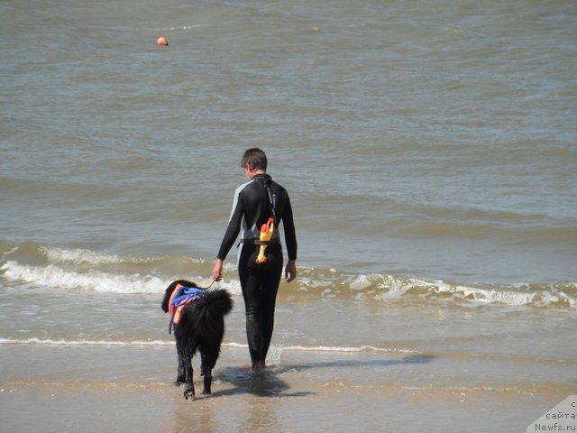 Фотография № 193910