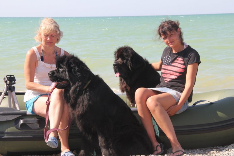 Фотография № 193911