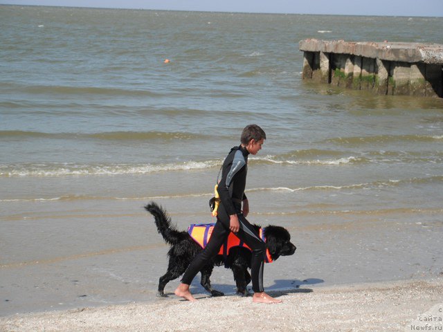 Фотография № 193913