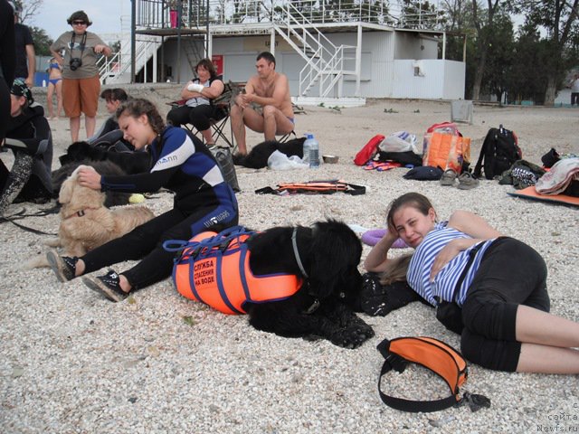 Фотография № 193919