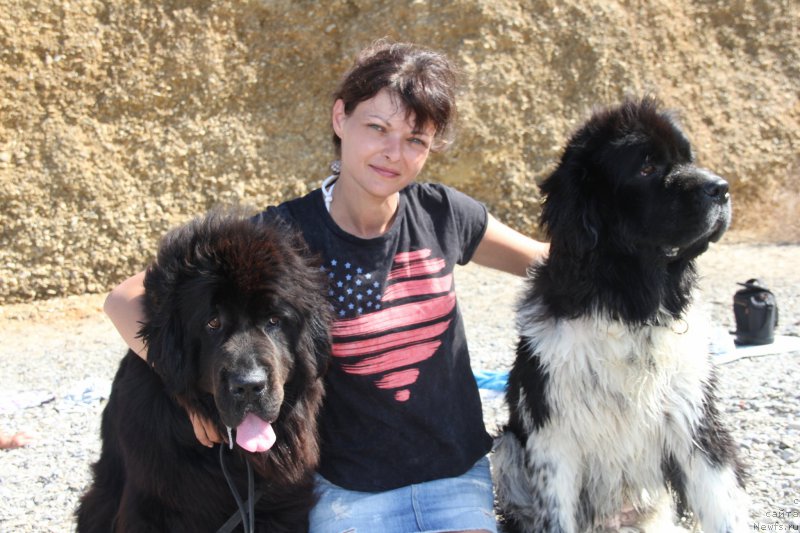 Фотография № 193926