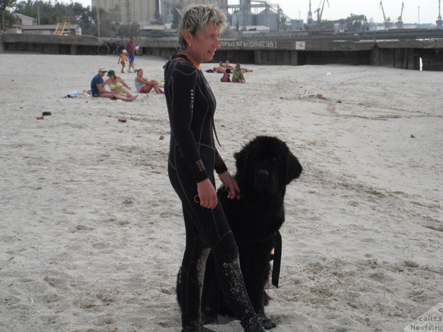 Фотография № 193929