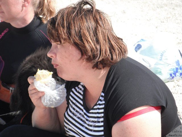 Фотография № 193931