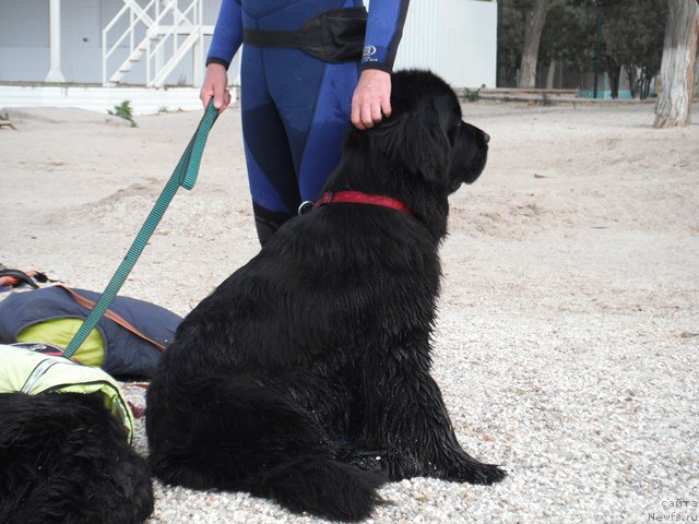 Фотография № 193932