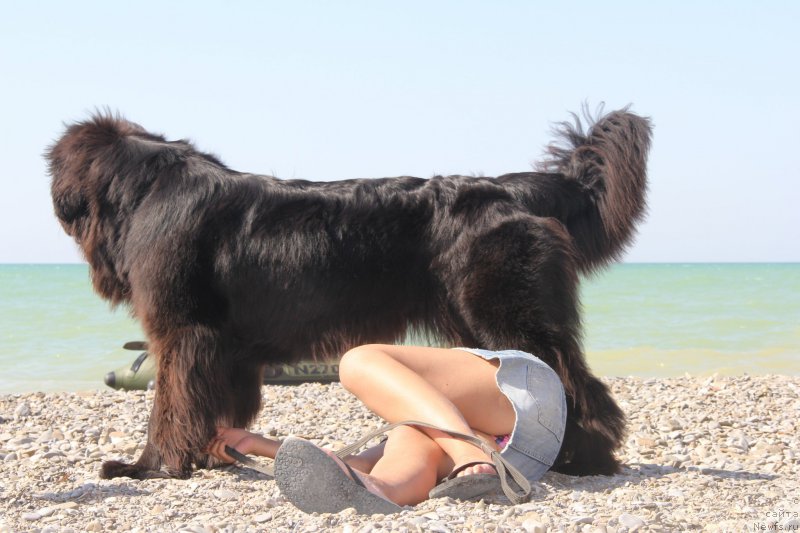 Фотография № 193936