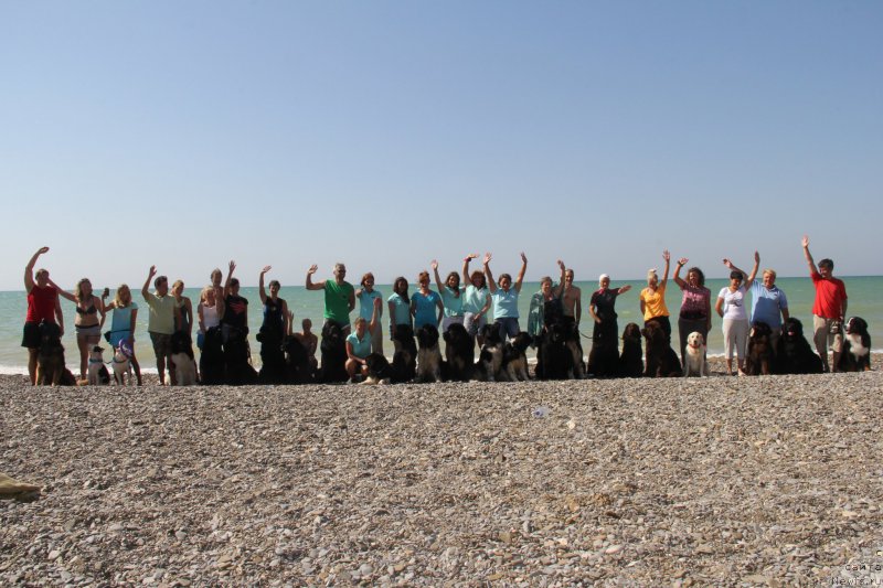 Фотография № 193939