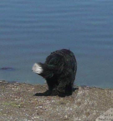 Фотография № 19394