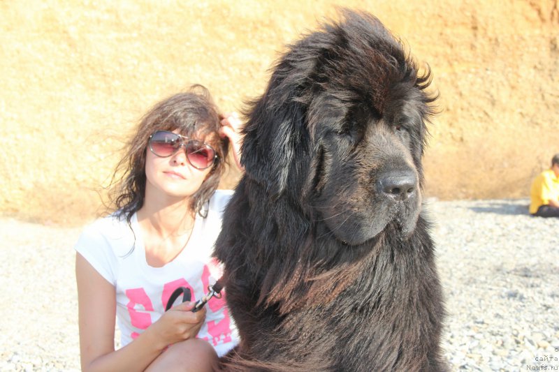 Фотография № 193940