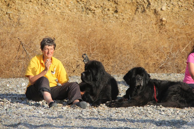 Фотография № 193941