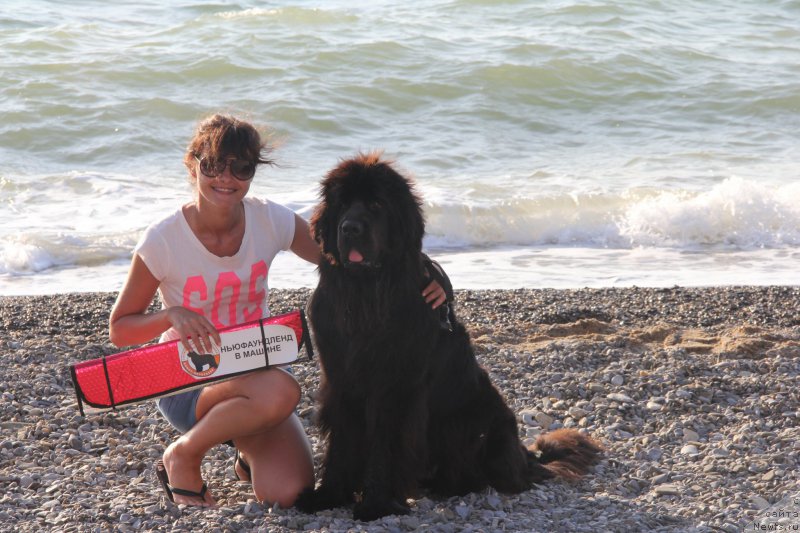 Фотография № 193943