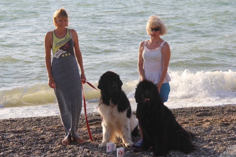 Фотография № 193945