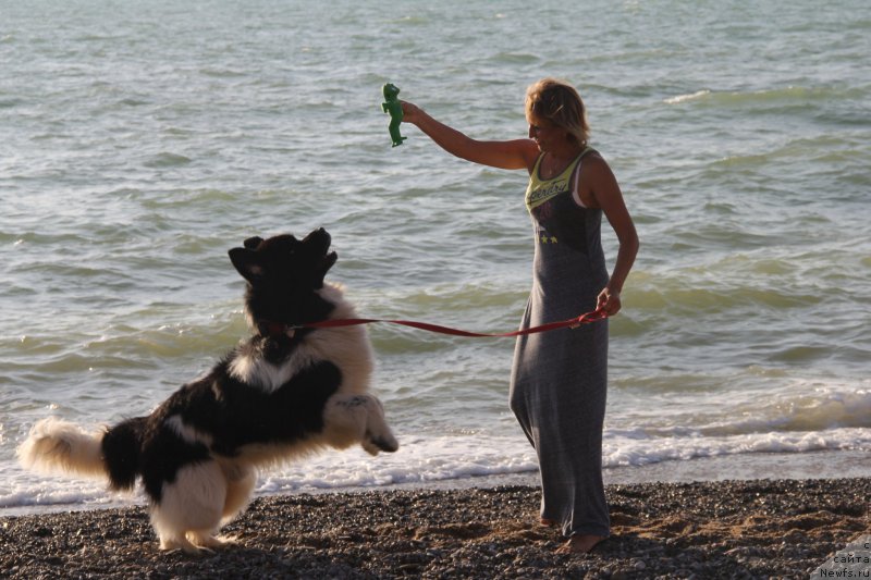 Фотография № 193946