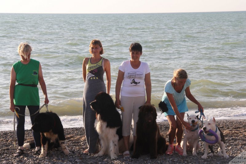 Фотография № 193949