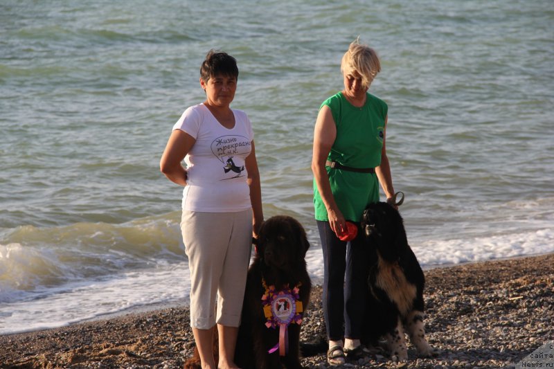 Фотография № 193952